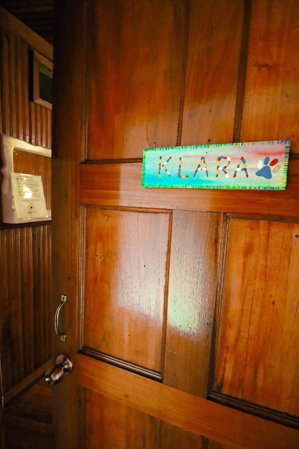 Cat In The Cup B&B Bocas del Toro Exterior foto