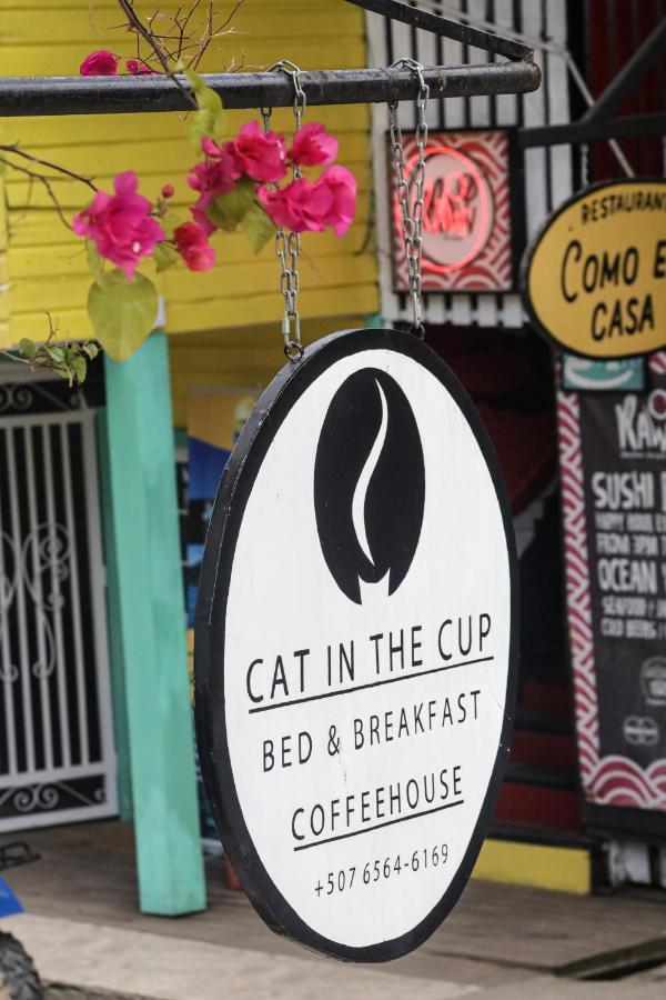 Cat In The Cup B&B Bocas del Toro Exterior foto